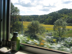 のんびり車窓から