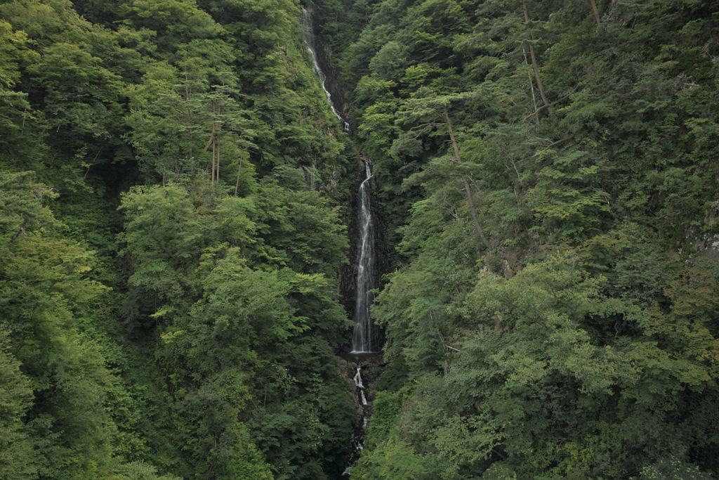 滝は一番奥にある