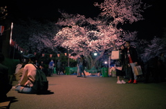 それぞれの花見
