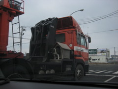 こんなところに！！