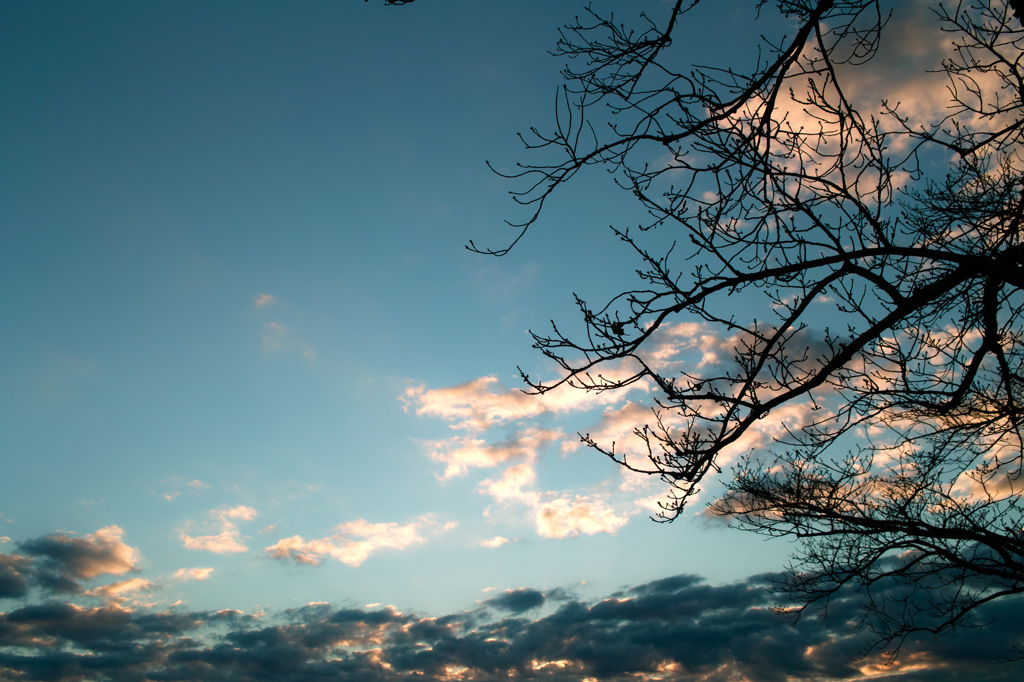 朝空