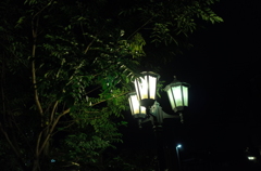 街灯と灯り