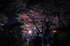 花見はまだまだ続く