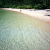 Beach combing