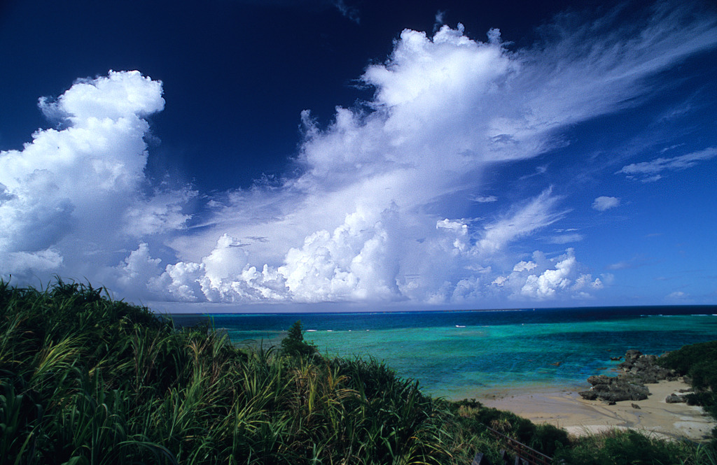 夏雲