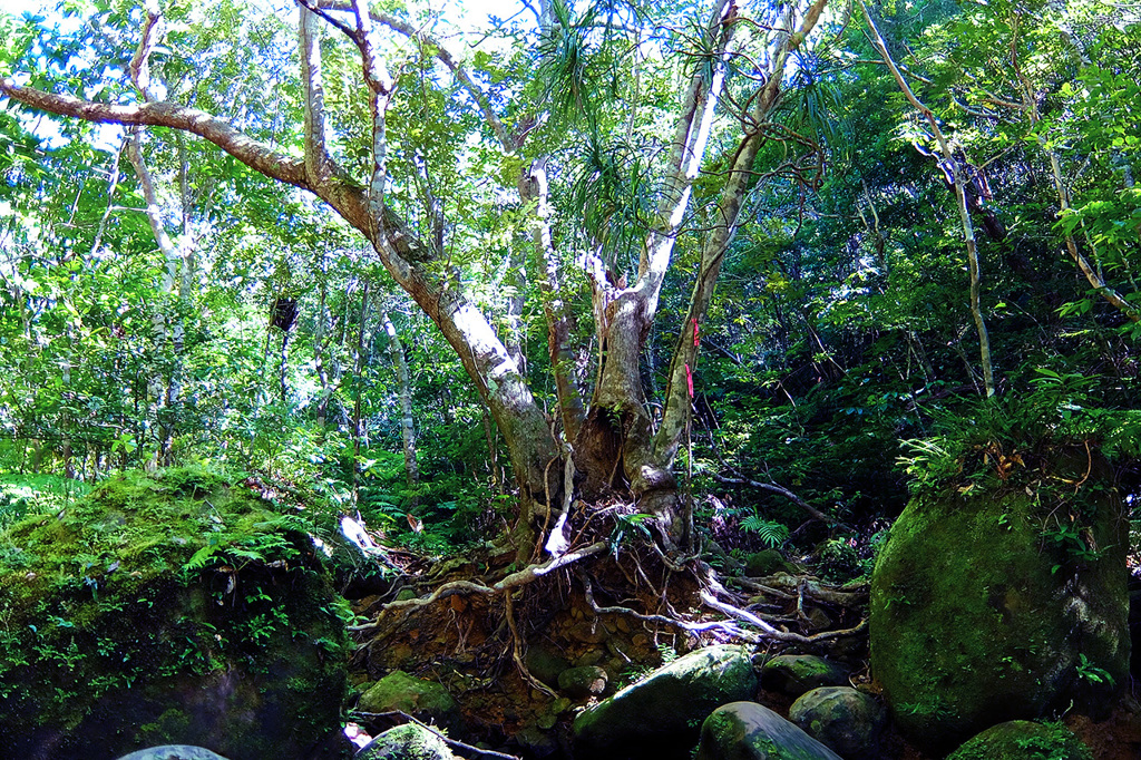 分岐点