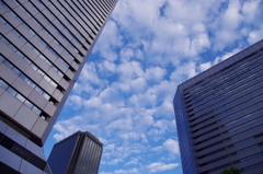 ビルの間の空