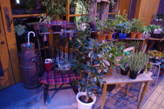 近所の花屋