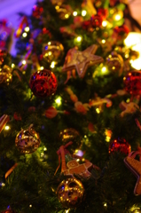 １月のｸﾘｽﾏｽﾂﾘｰ