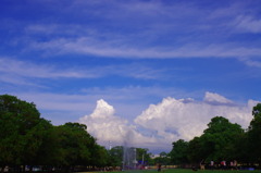 青空と緑の間の雲