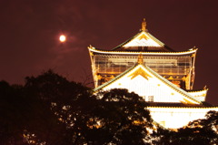 月夜の大阪城