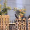 なに想う…
