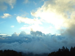 R0016230