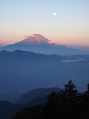 R0016115