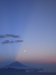 R0016165