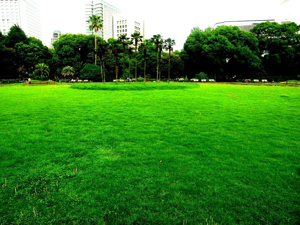relaxing time at the park