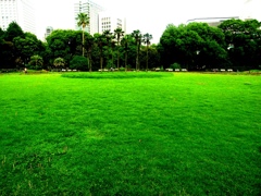 relaxing time at the park