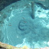 湧き水