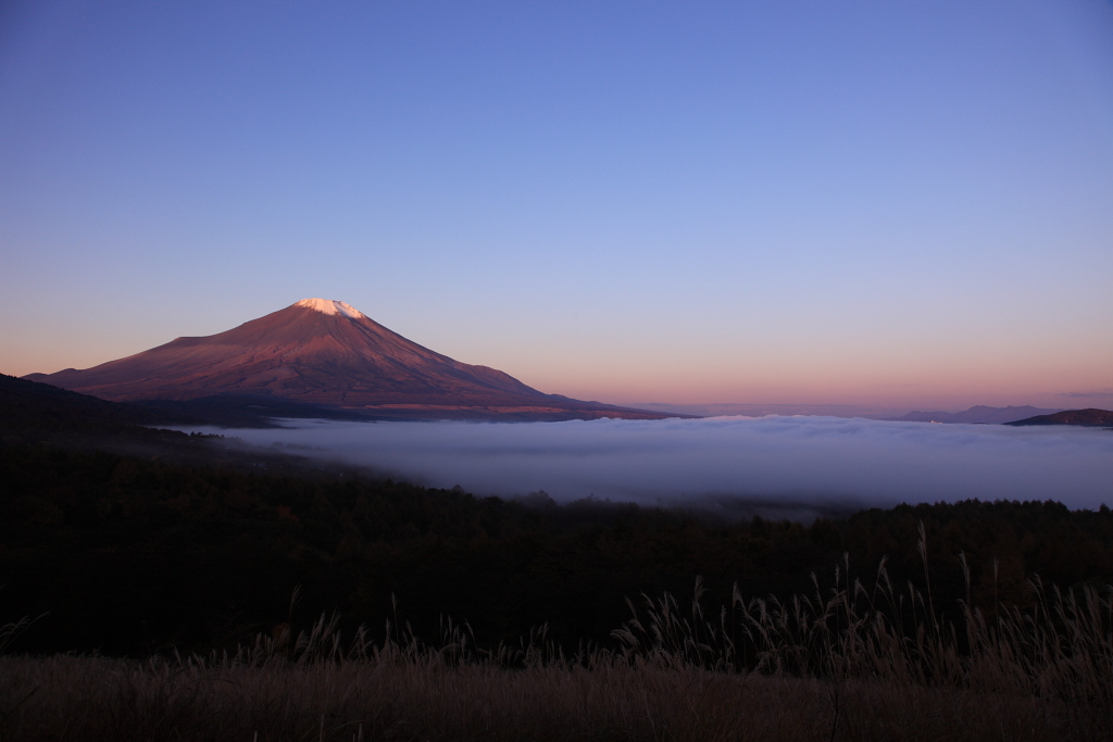 静かな夜明け