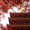 秋の高幡不動