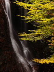 黄葉の滝