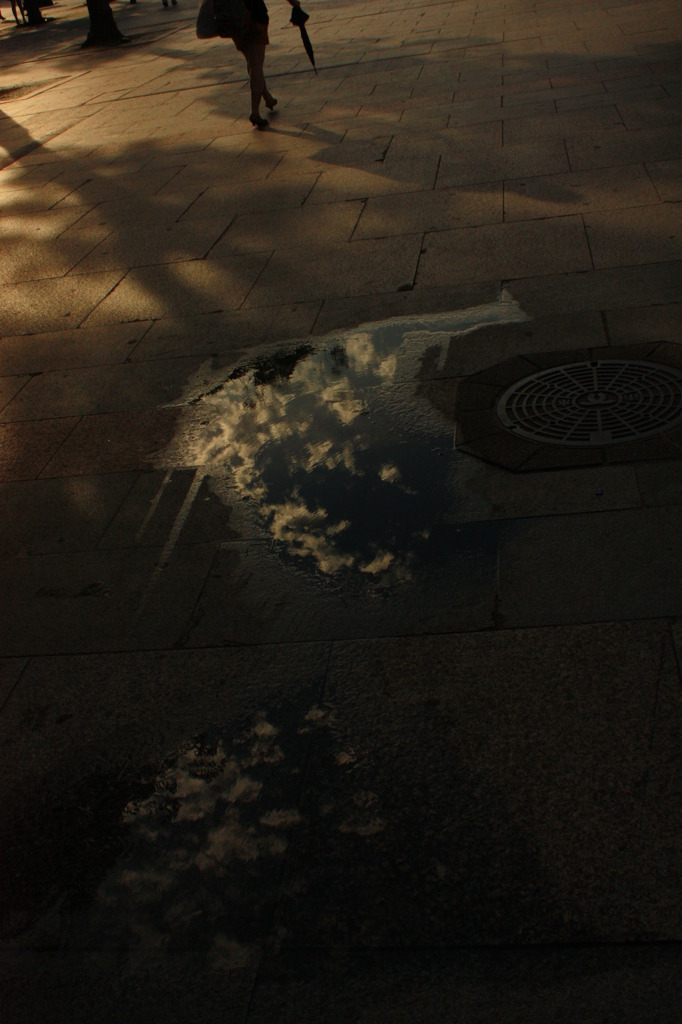 雨上がりの帰路