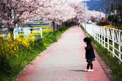 ＜卒　業　～　バラから桜へ～＞