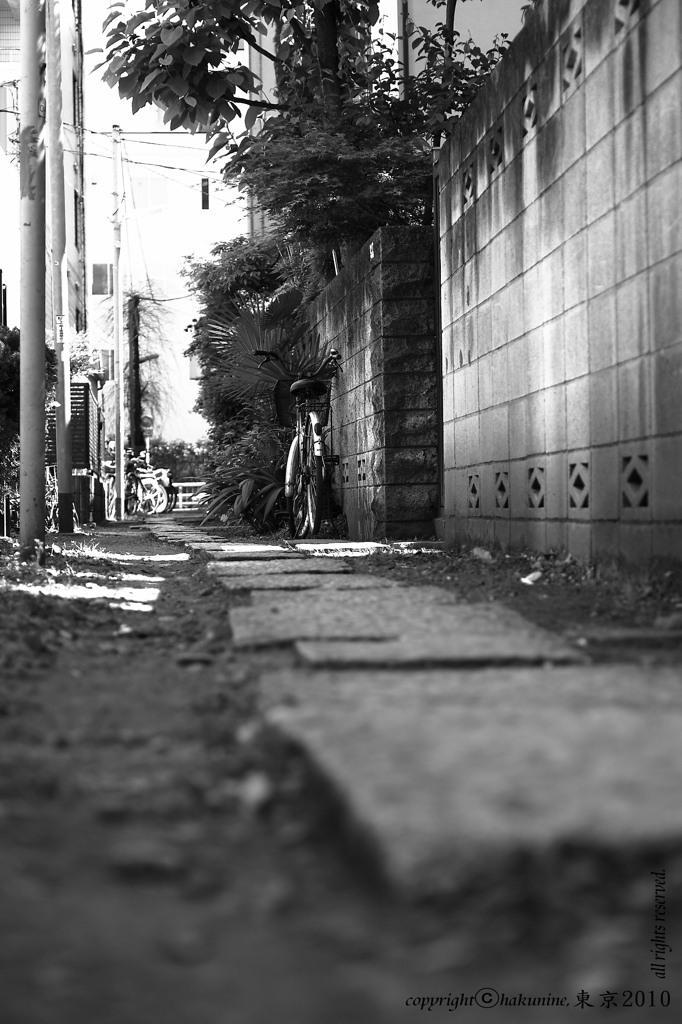 歩いてる道の果ては、、、