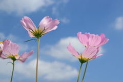 空