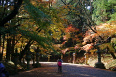 紅葉トンネル