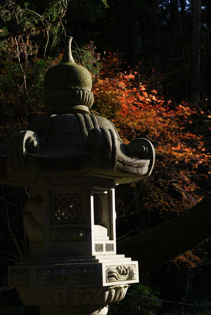 幾歳もかわらず