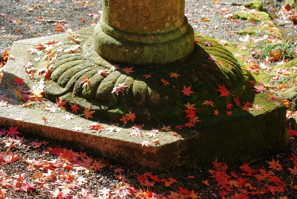 足元の紅葉