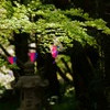日差し