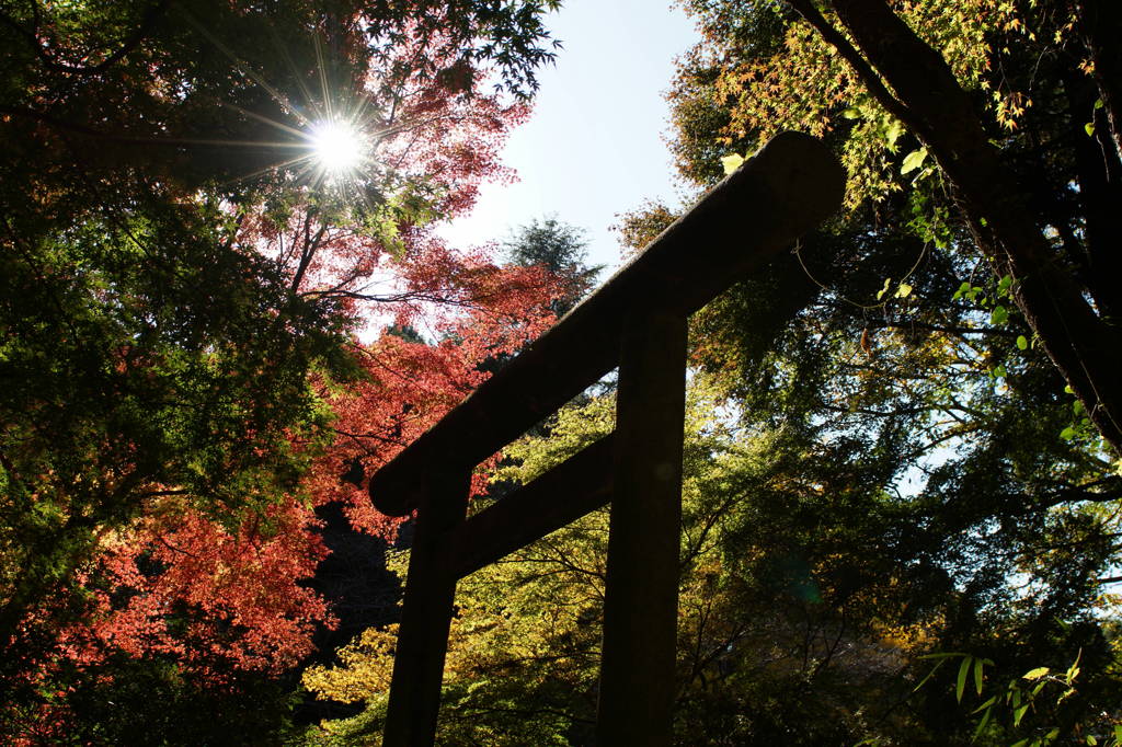 神域