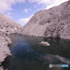 青と白