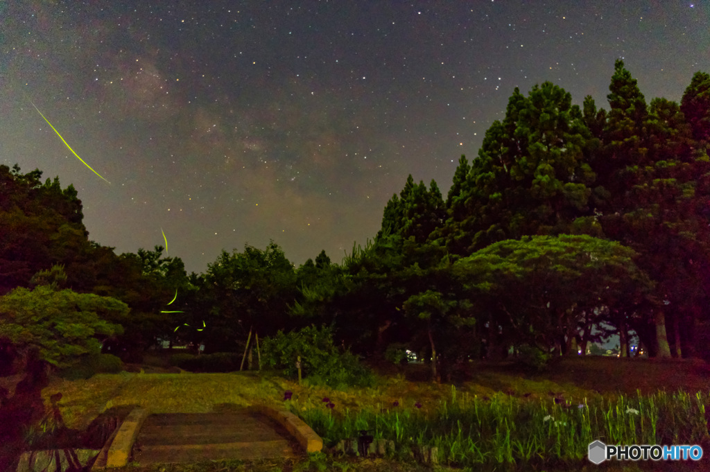 天の川・蛍・菖蒲