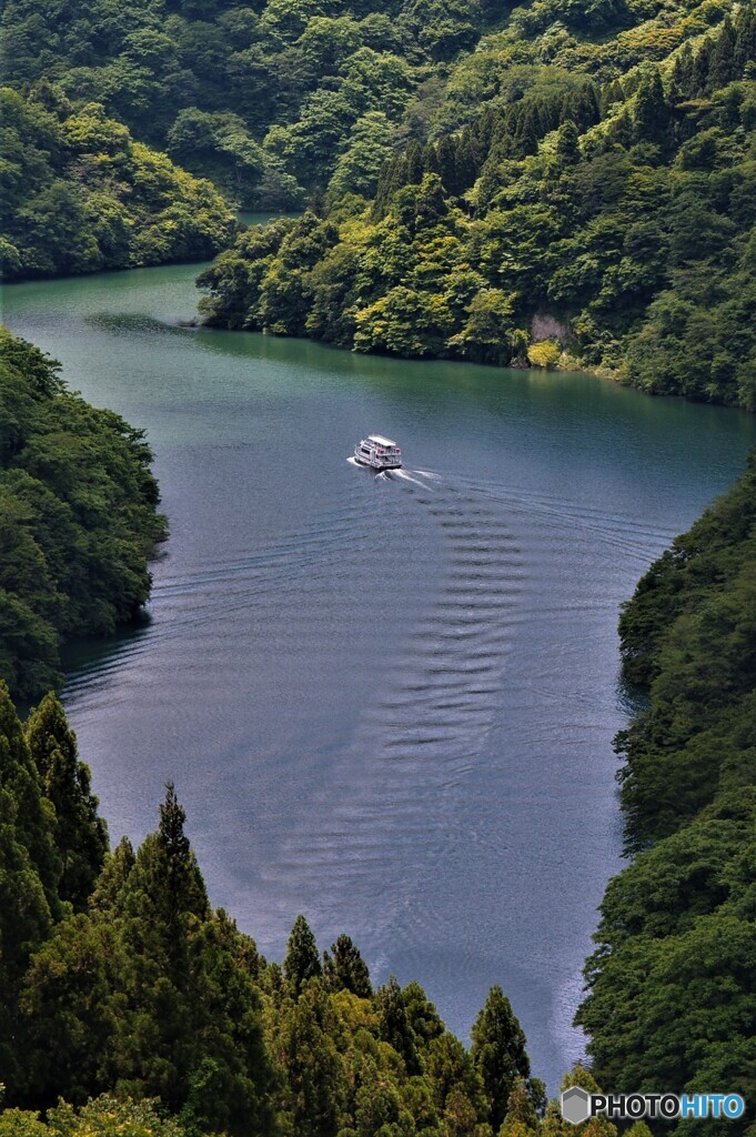 新緑を進む