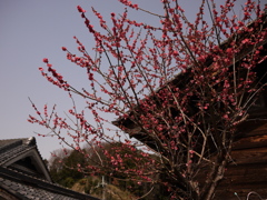 P1100381