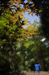 三輪山　大神神社