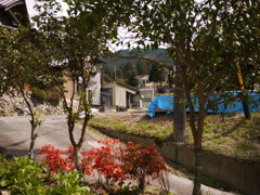 P1100452