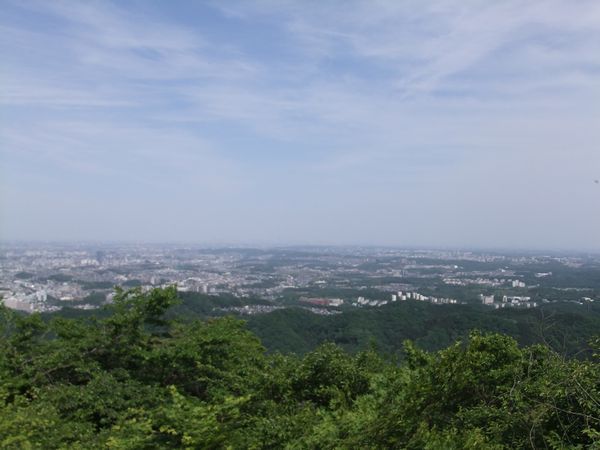 都会のオアシス。