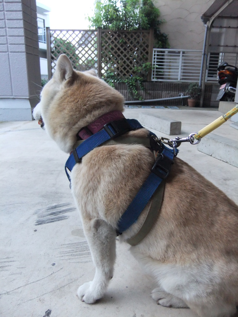 まだかな。。。