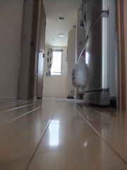 雨の日の廊下。
