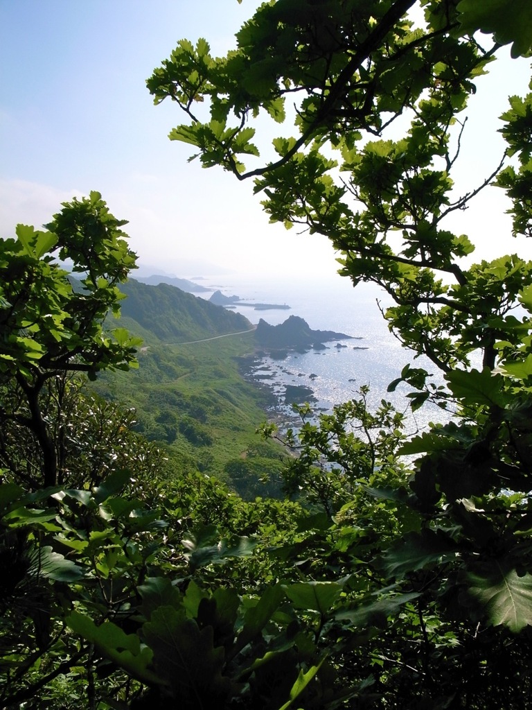 能登の海・木の浦３