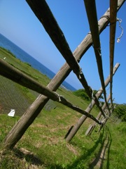 能登の海・木の浦１