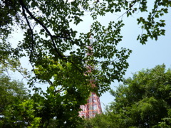 森の中の東京タワー