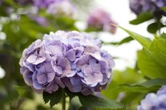 霞ヶ浦総合公園1