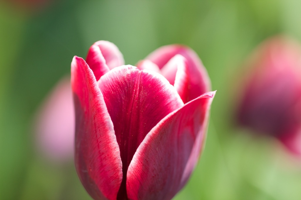 a will0424