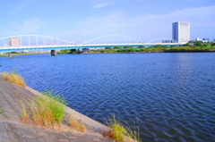 多摩川