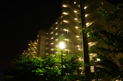 Night Of The Mantion